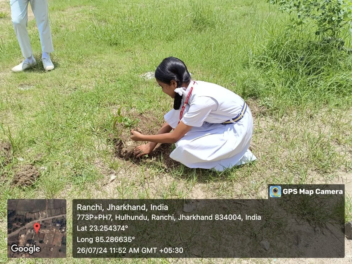 Student Planting Sapling in School Ground