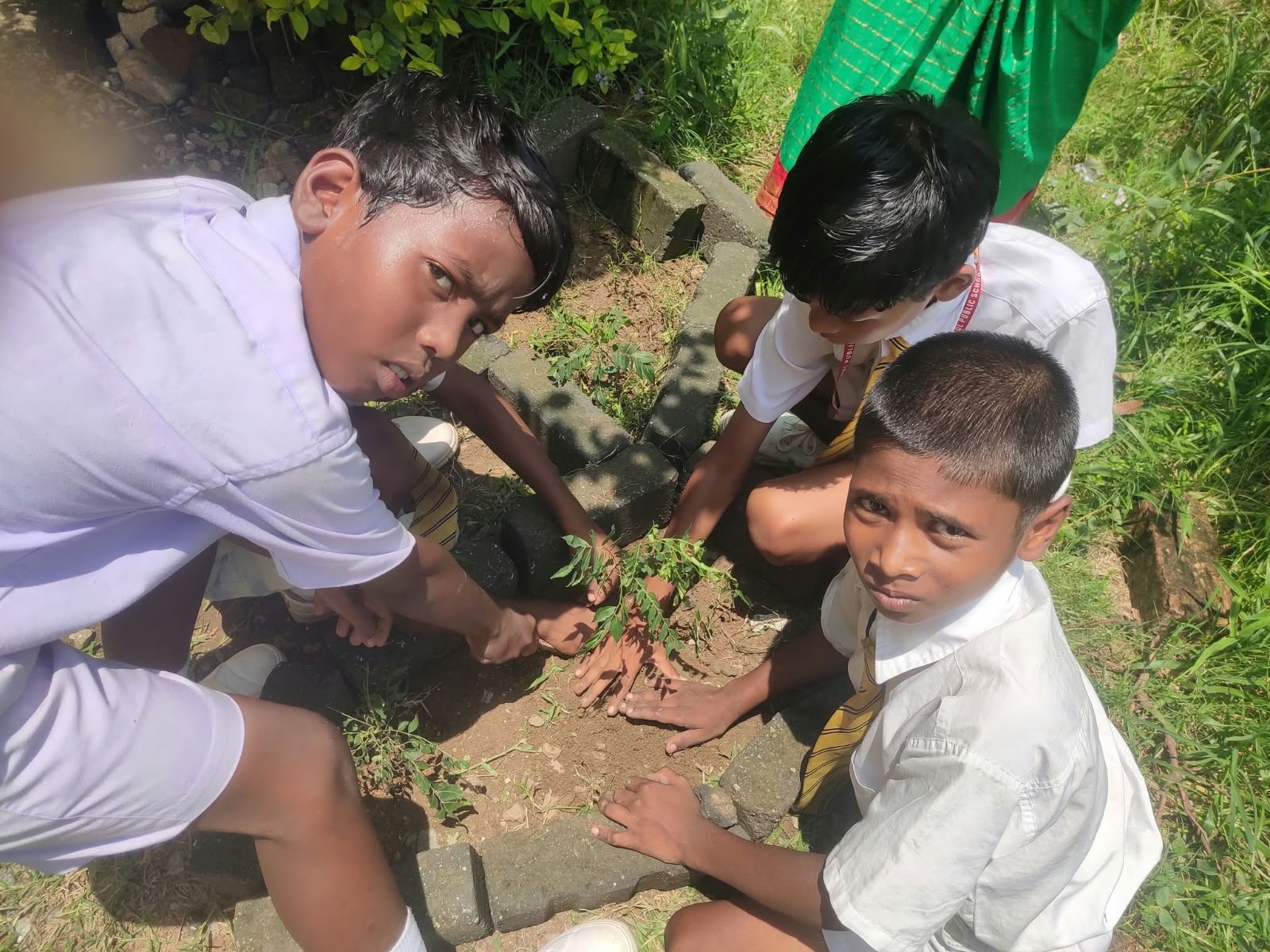 Primary Students Planting Trees Together
